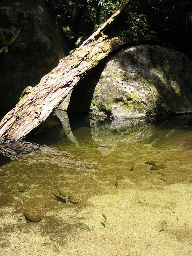 225 Mossman Gorge.jpg